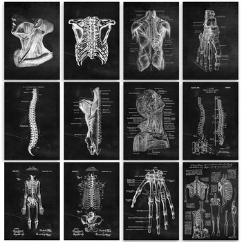 Костно-Мускулния Скелет Анатомия на Сърцето Скелет Платно Картина, Скандинавски Плакат Стенни Художествена Картина, Украса за Медицинска служба